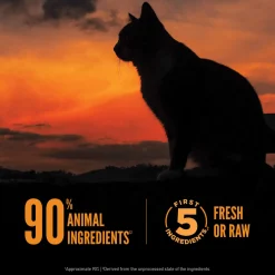 Orijen Grain Free Wild Reserve Dry Cat Food