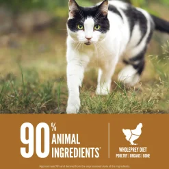 Orijen Grain-Free Dry Cat Food