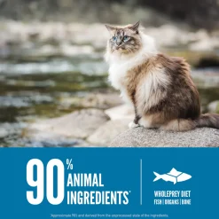 Orijen Grain-Free Dry Cat Food