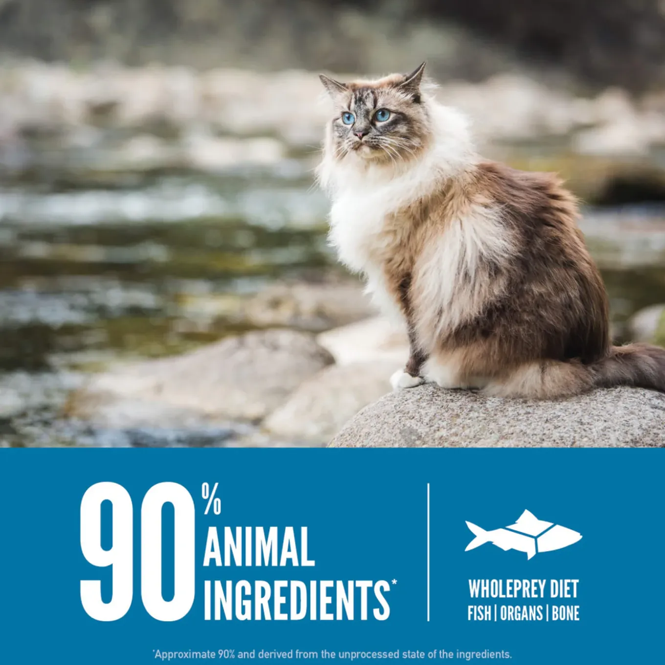 Orijen Grain-Free Dry Cat Food