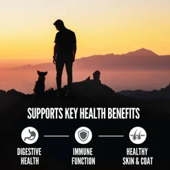 Orijen Amazing Grains Dry Dog Food