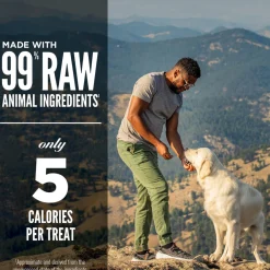 Orijen Freeze Dried Dog Treats