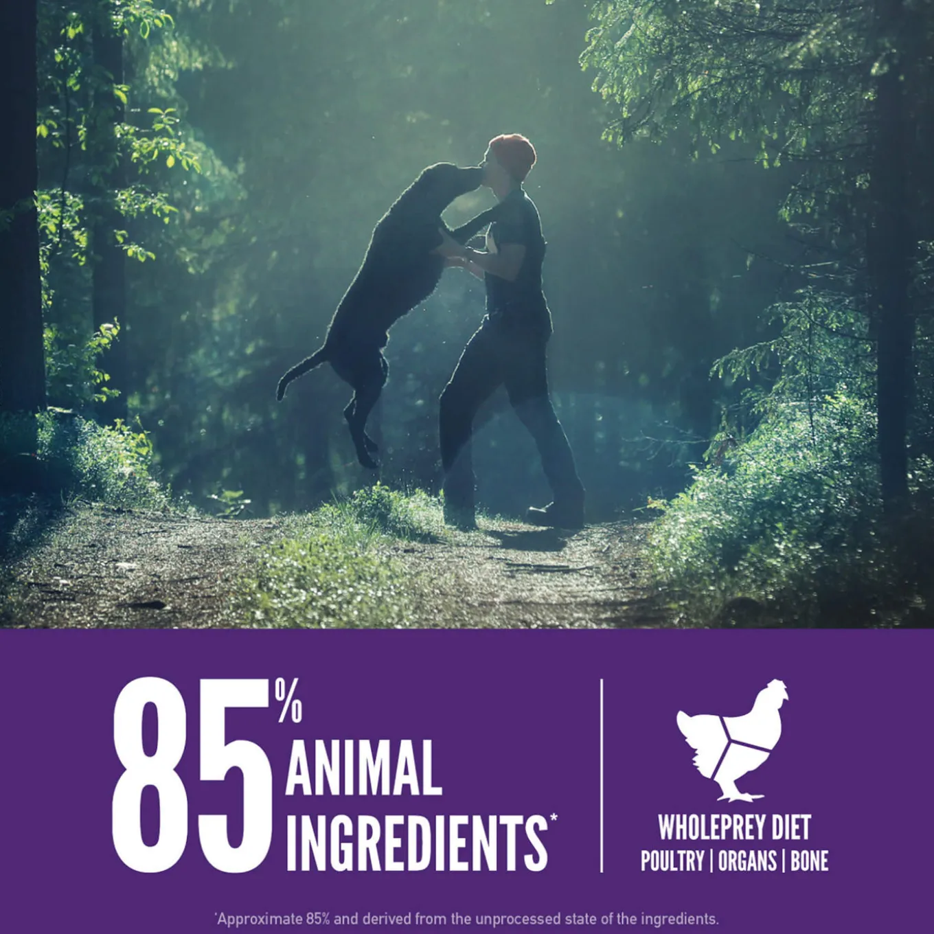 Orijen Grain-Free Dry Dog Food