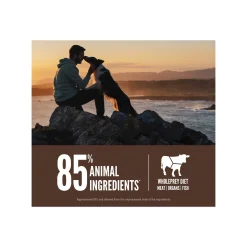 Orijen Grain-Free Dry Dog Food