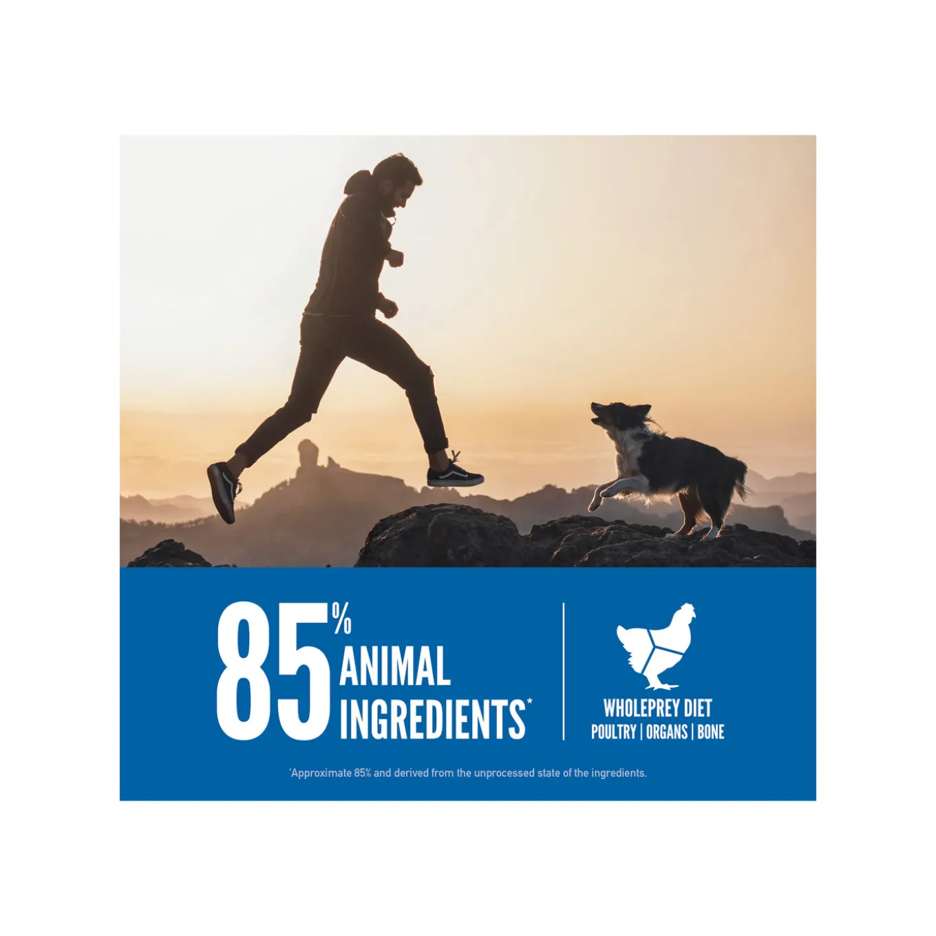 Orijen Grain-Free Dry Dog Food