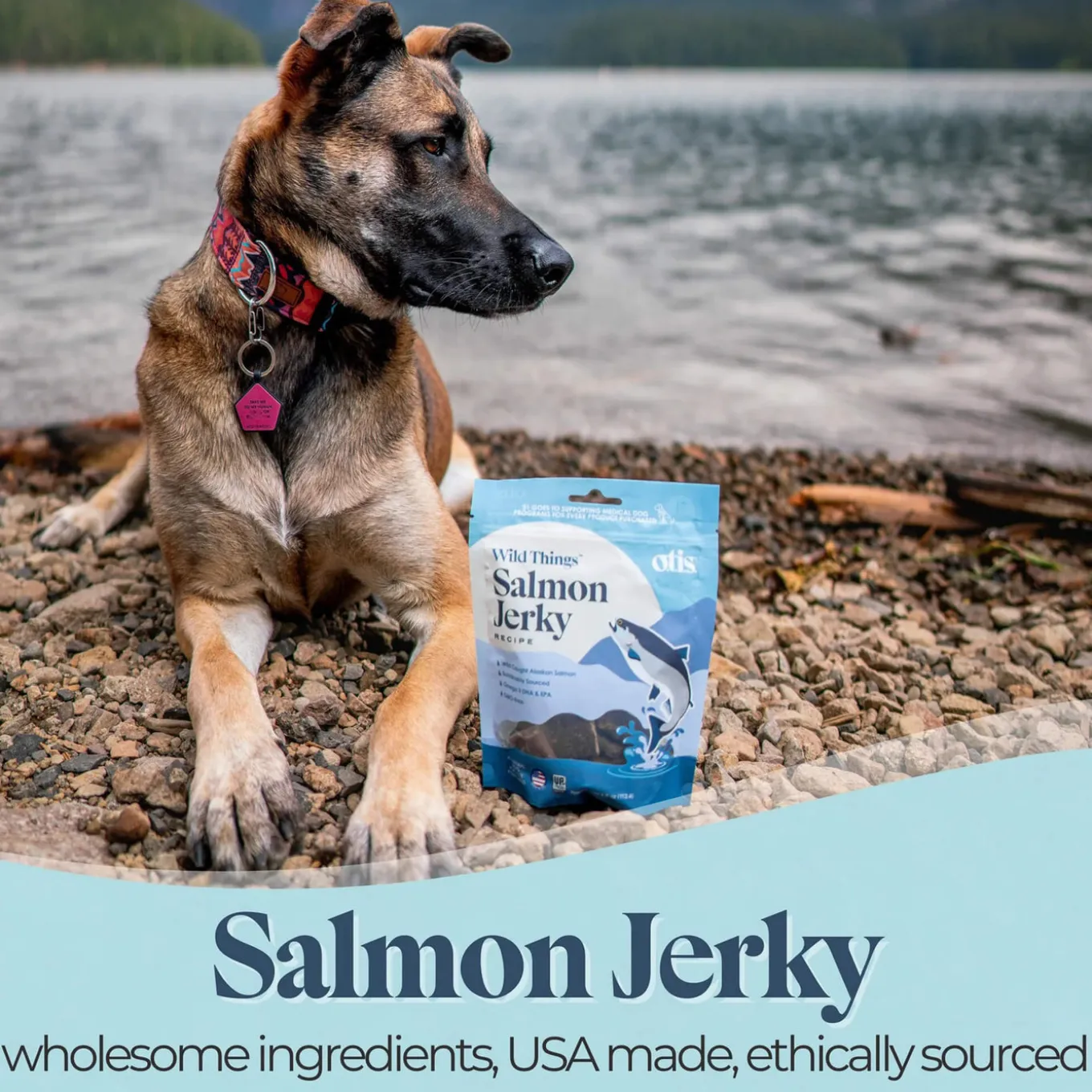 O.T.I.S. Wild Things Jerky Treats for Dogs