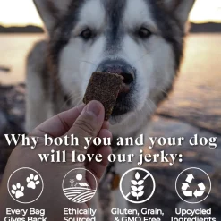 O.T.I.S. Wild Things Jerky Treats for Dogs