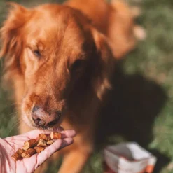 O.T.I.S. Wild Things Trainers Dog Treats