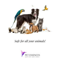 Pet Essences Out of Control for Dogs & Cats