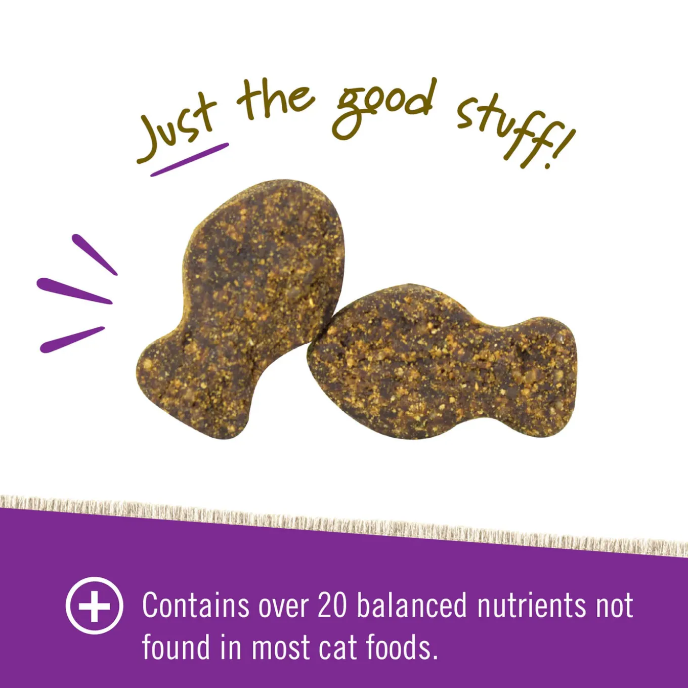 Pet Naturals Daily Multivitamin for Cats