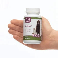 PetAlive C-Caps Formula Immunity Herbal Supplement for Dogs & Cats