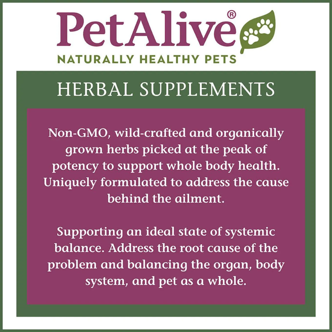 PetAlive GlucoEnsure Herbal Blood Sugar Support for Dogs & Cats