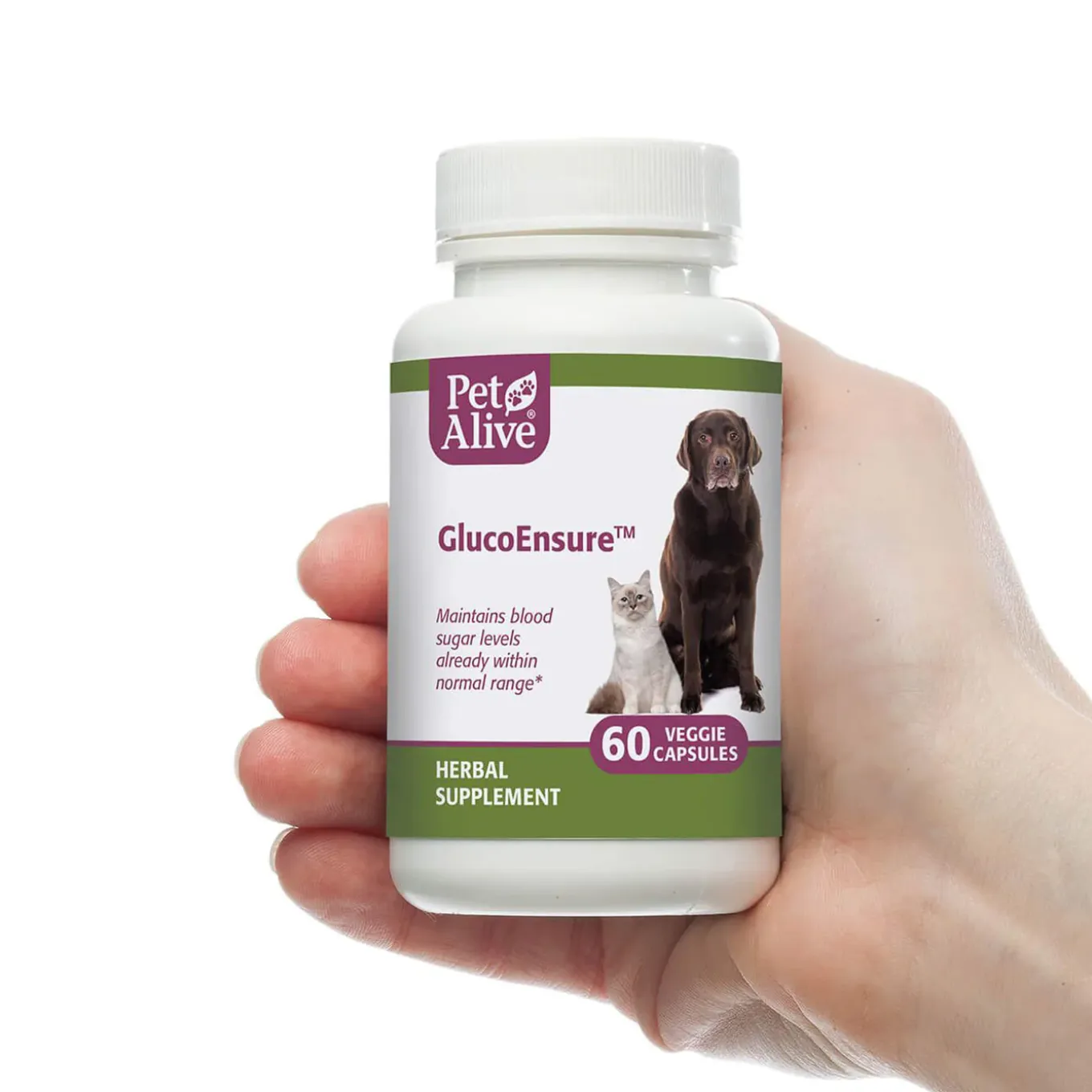 PetAlive GlucoEnsure Herbal Blood Sugar Support for Dogs & Cats