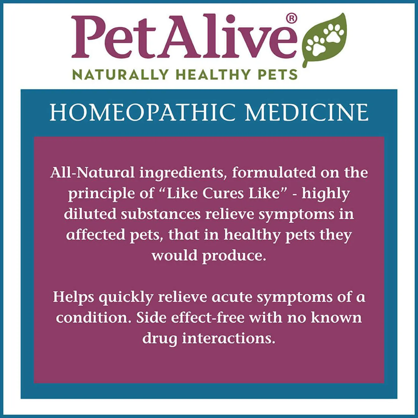PetAlive AmazaPet Respiratory Homeopathic Remedy for Dogs & Cats