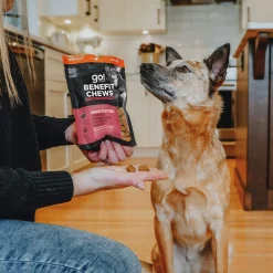 Petcurean GO! Benefit Chews for Dogs