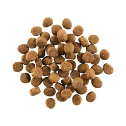 Petcurean GO! Carnivore Dry Dog Food