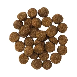 Petcurean GO! Grain-Friendly Solutions Dry Dog Food