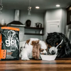 Petcurean GO! Skin and Coat Care Dry Dog Food