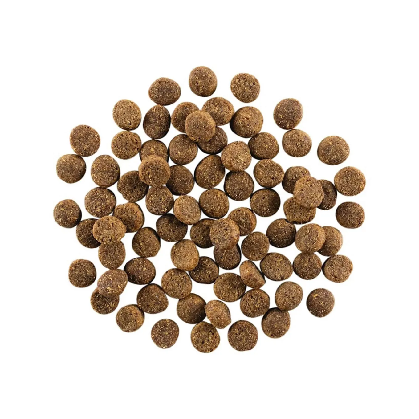 Petcurean GO! Skin and Coat Care Dry Dog Food