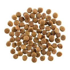 Petcurean GO! Skin and Coat Care Dry Dog Food