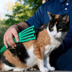 PetKORE GroomRaker Cat Deshedding Tool