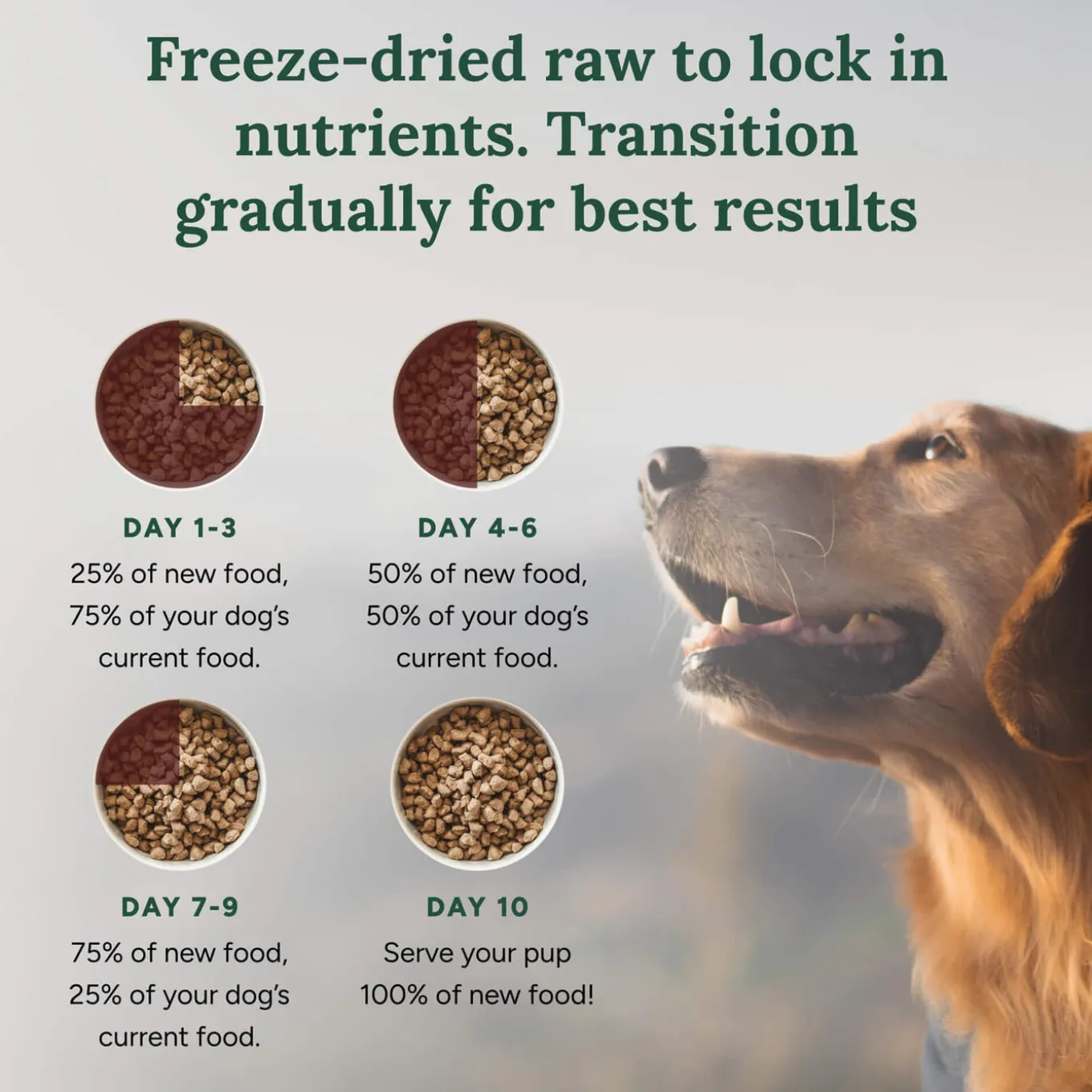 360 Pet Nutrition Freeze Dried Raw Complete Meal for Dogs