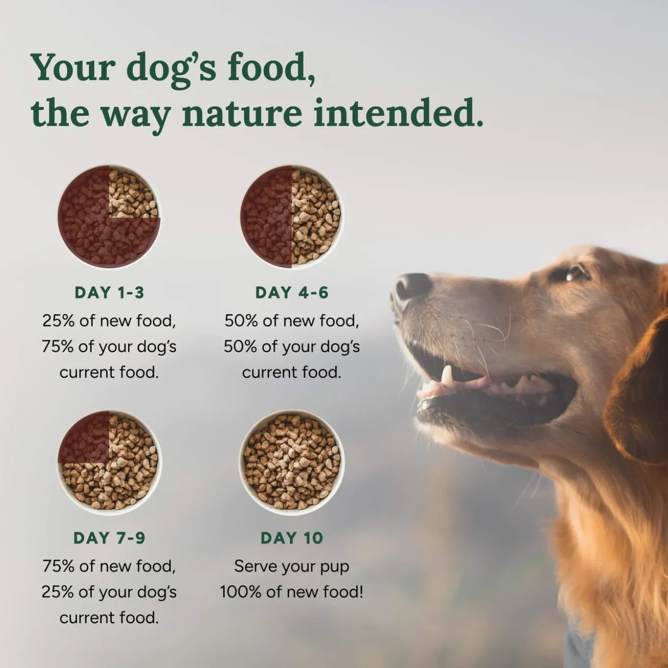 360 Pet Nutrition Freeze Dried Raw Complete Meal for Dogs