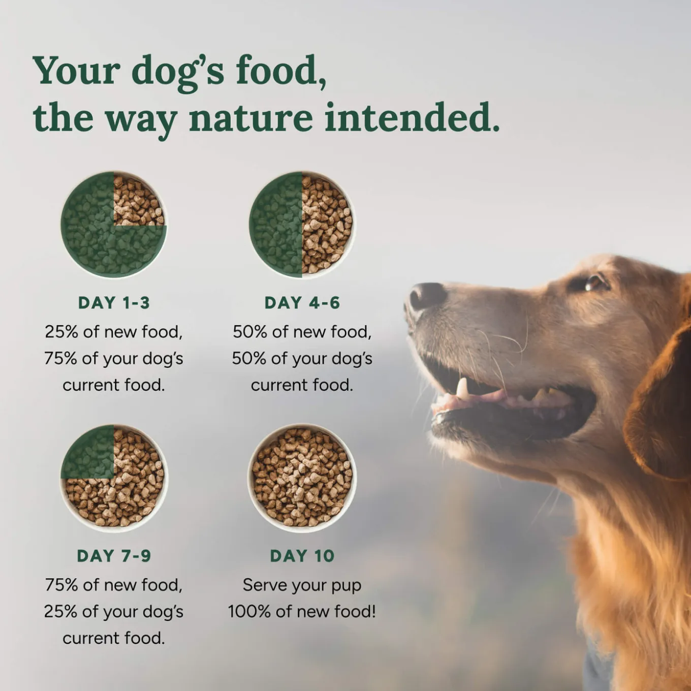 360 Pet Nutrition Freeze Dried Raw Complete Meal for Dogs