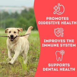 Pet Treatery Grain-Free Biscuits Natural Dog Treats