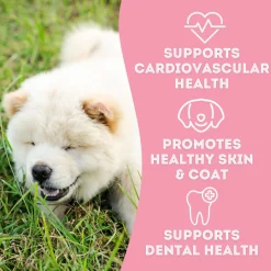 Pet Treatery Grain-Free Biscuits Natural Dog Treats