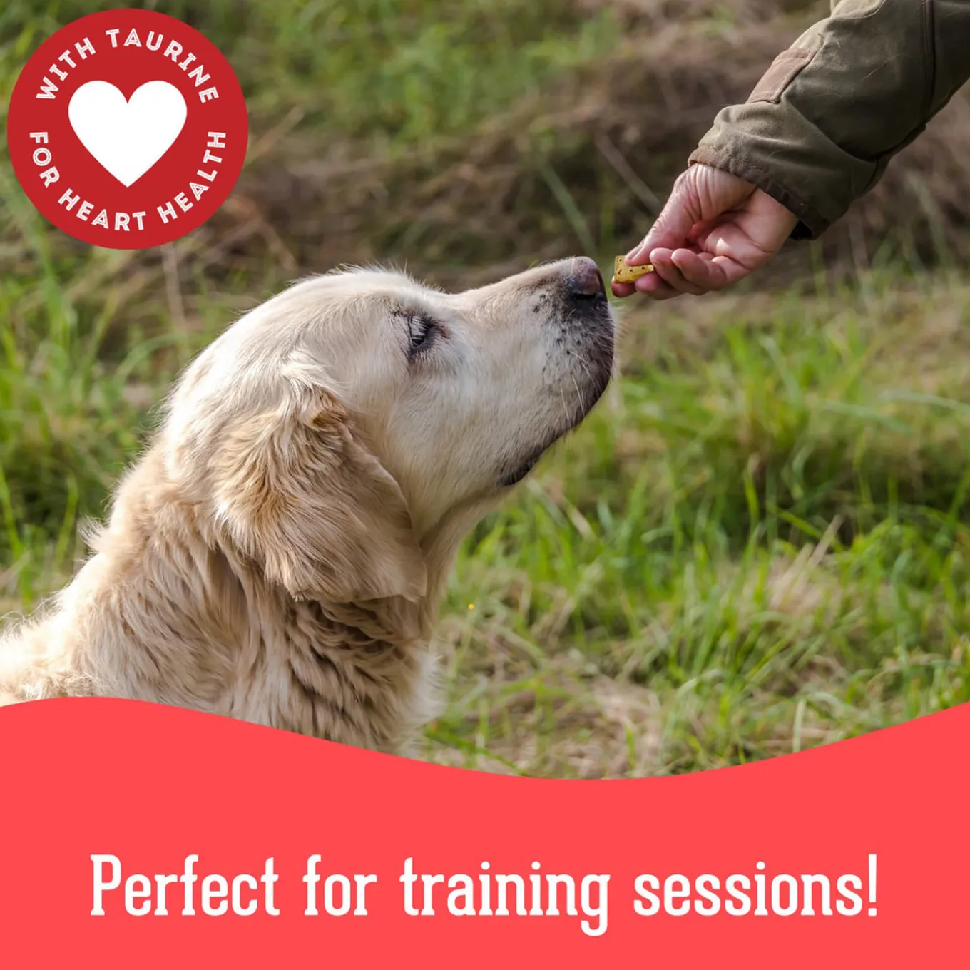 Pet Treatery Grain-Free Biscuits Natural Dog Treats