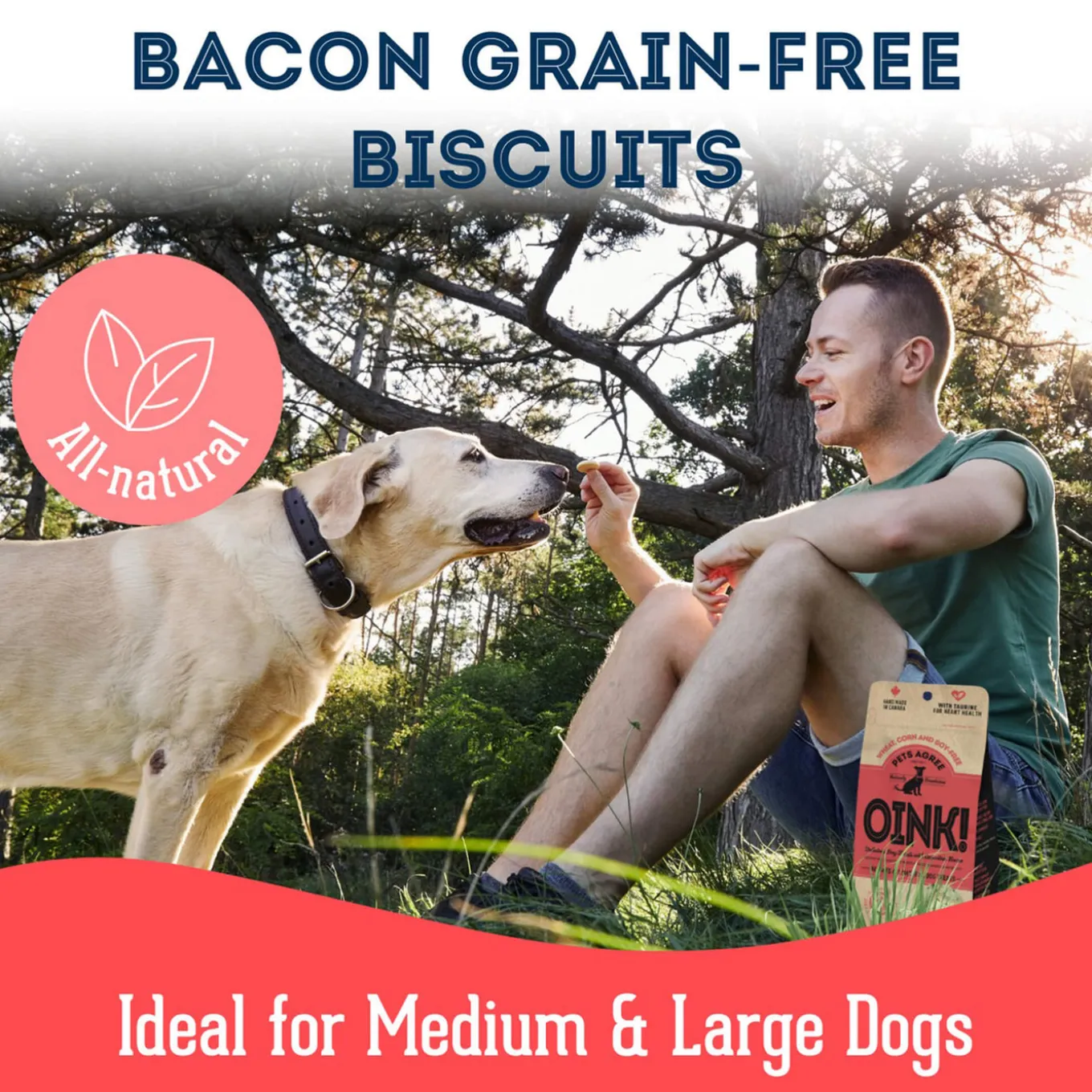 Pet Treatery Grain-Free Biscuits Natural Dog Treats