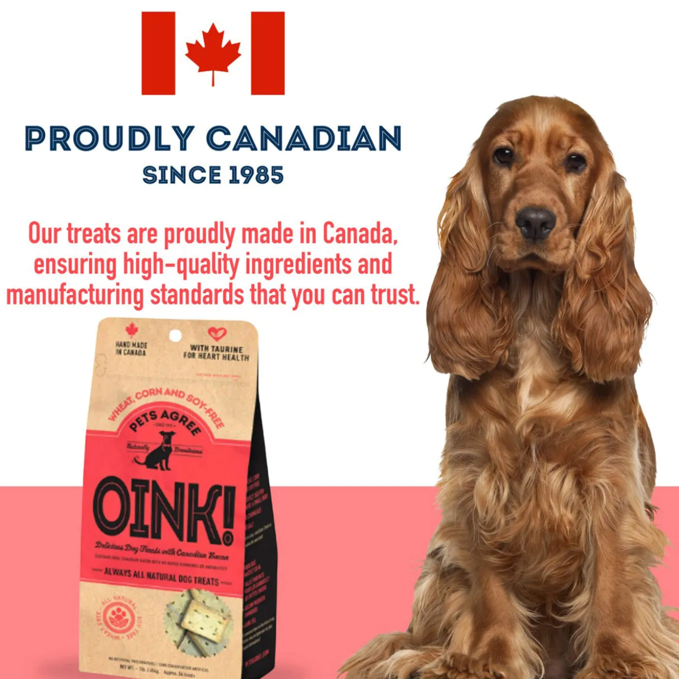 Pet Treatery Grain-Free Biscuits Natural Dog Treats