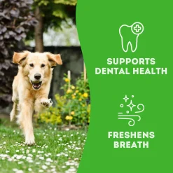 Pet Treatery Grain-Free Biscuits Natural Dog Treats