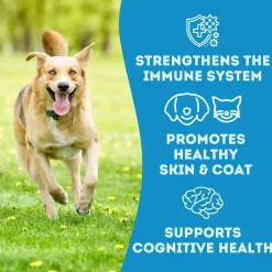 Pet Treatery Premium Dehydrated Dog Treats