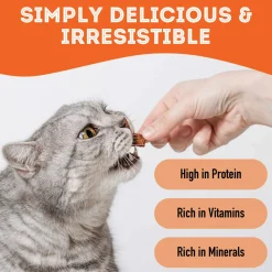Pet Treatery Premium Dehydrated Dog Treats
