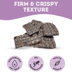 Pet Treatery Premium Dehydrated Dog Treats