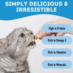 Pet Treatery Premium Dehydrated Dog Treats