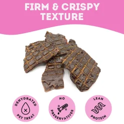 Pet Treatery Premium Dehydrated Dog Treats