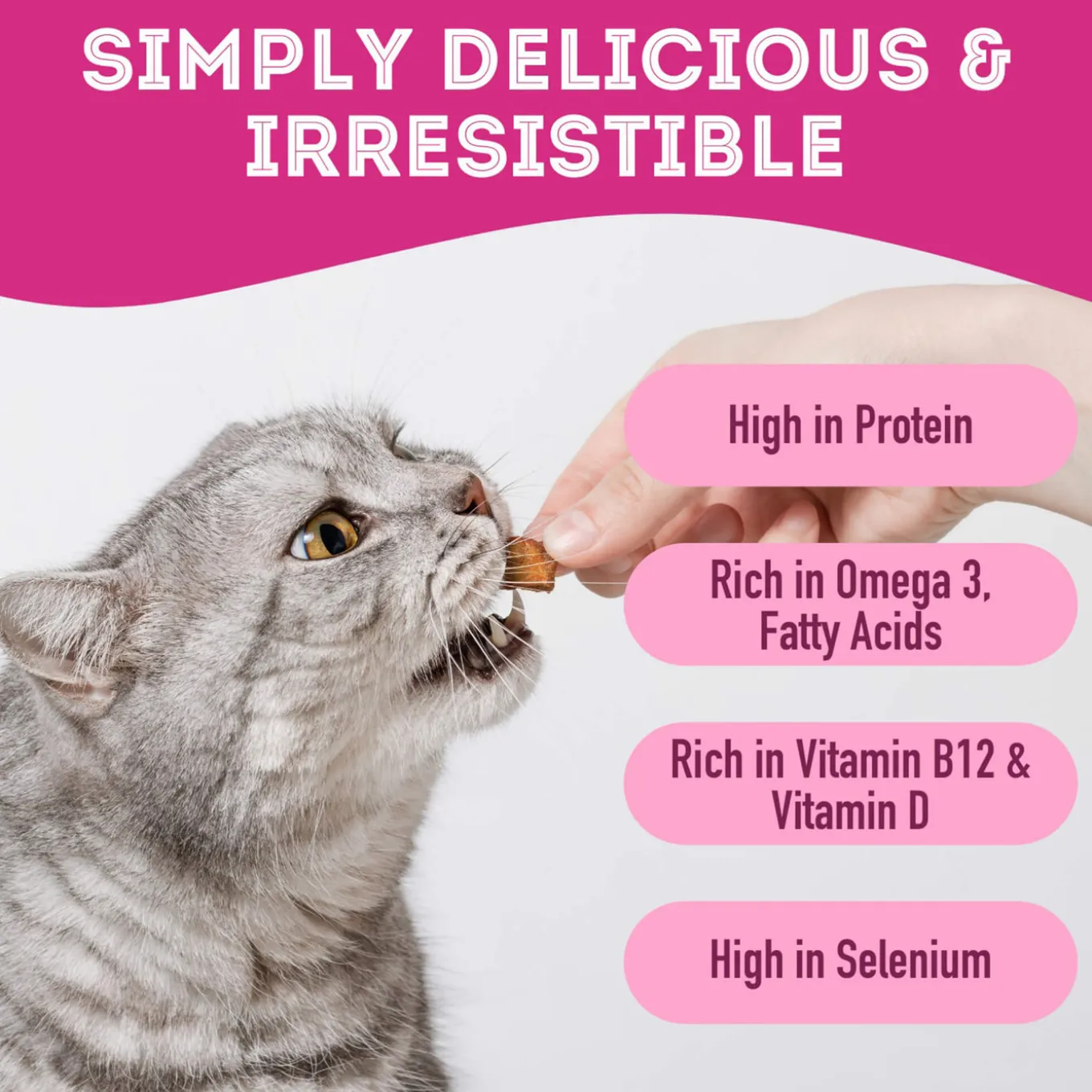 Pet Treatery Premium Freeze Dried Dog Treats