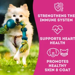 Pet Treatery Premium Freeze Dried Dog Treats