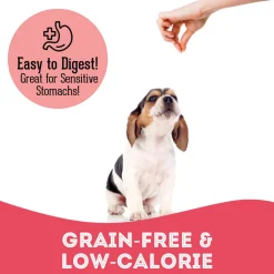 Pet Treatery Premium Soft & Chewy Dog Treats