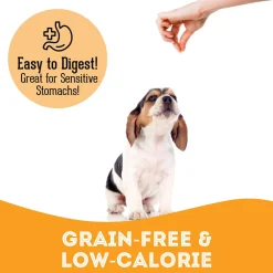 Pet Treatery Premium Soft & Chewy Dog Treats