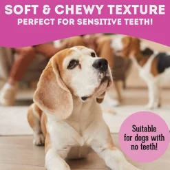 Pet Treatery Premium Soft & Chewy Dog Treats