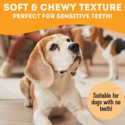 Pet Treatery Premium Soft & Chewy Dog Treats