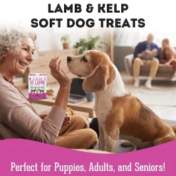 Pet Treatery Premium Soft & Chewy Dog Treats