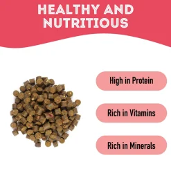 Pet Treatery Premium Soft & Chewy Dog Treats