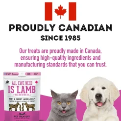 Pet Treatery Premium Soft & Chewy Dog Treats