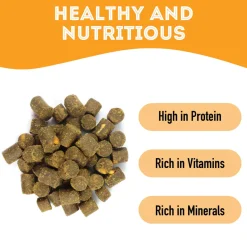 Pet Treatery Premium Soft & Chewy Dog Treats