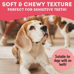 Pet Treatery Premium Soft & Chewy Dog Treats